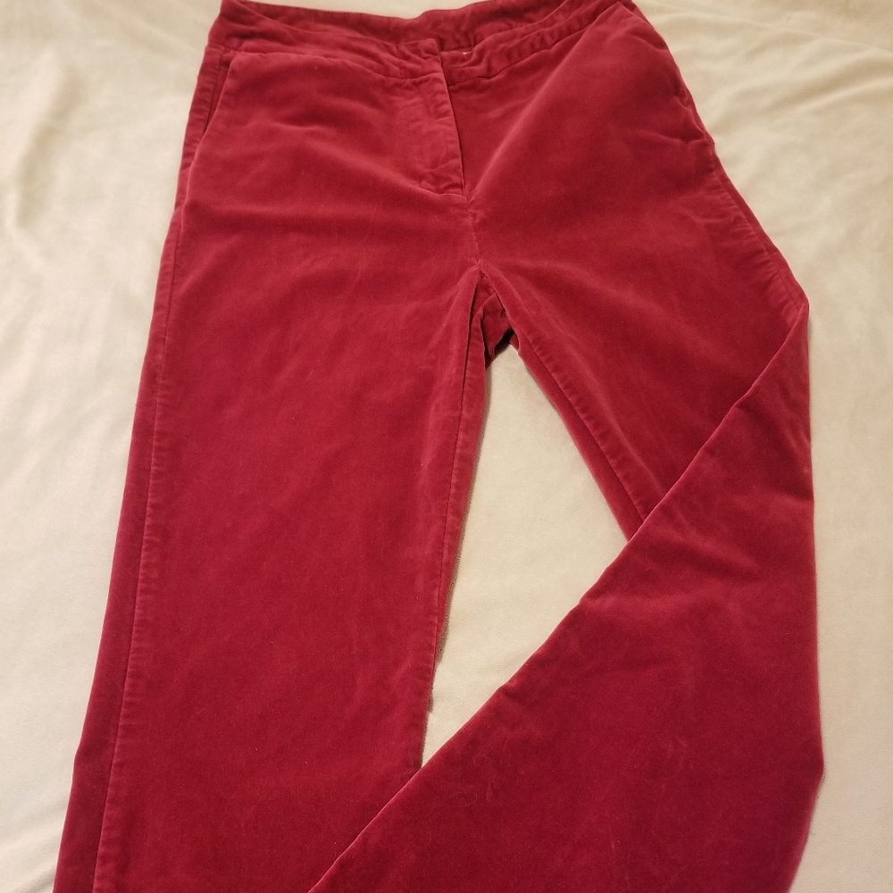 DG2 size 4 velour boot cut pant
